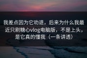 我差点因为它劝退，后来为什么我最近只刷糖心vlog电脑版，不是上头，是它真的懂我（一条讲透）