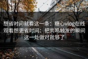 想省时间就看这一条：糖心vlog在线观看想更省时间：把共鸣触发的瞬间这一处做对就够了
