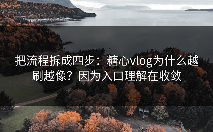 把流程拆成四步：糖心vlog为什么越刷越像？因为入口理解在收敛