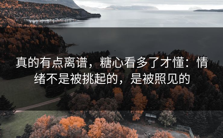 真的有点离谱，糖心看多了才懂：情绪不是被挑起的，是被照见的