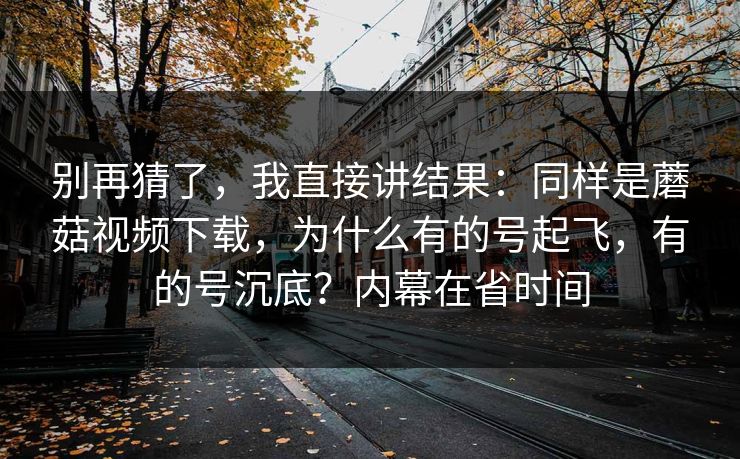 别再猜了，我直接讲结果：同样是蘑菇视频下载，为什么有的号起飞，有的号沉底？内幕在省时间