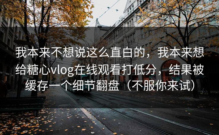 我本来不想说这么直白的，我本来想给糖心vlog在线观看打低分，结果被缓存一个细节翻盘（不服你来试）
