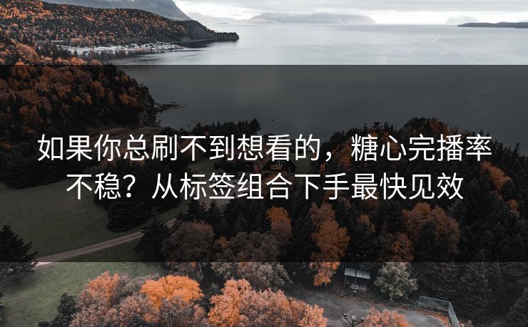 如果你总刷不到想看的，糖心完播率不稳？从标签组合下手最快见效